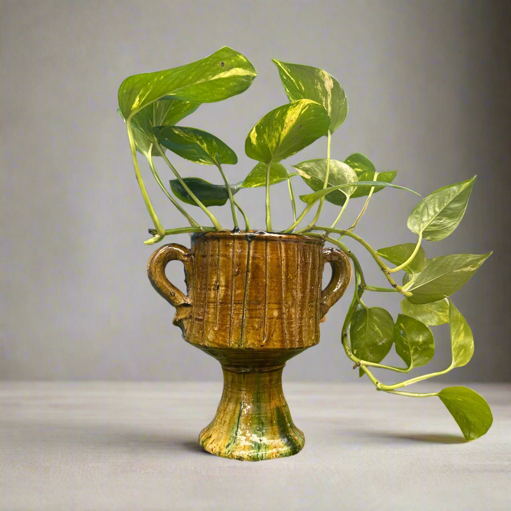 Tamegroute Pottery Twin handled plant chalice