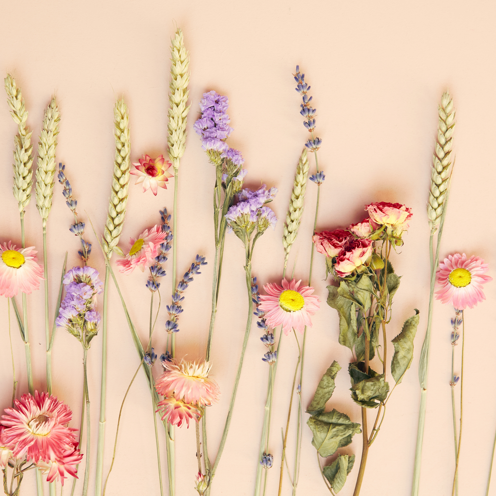 Letterbox Dried Flower Bouquet – Handcrafted Seasonal Flowers Gift Pink