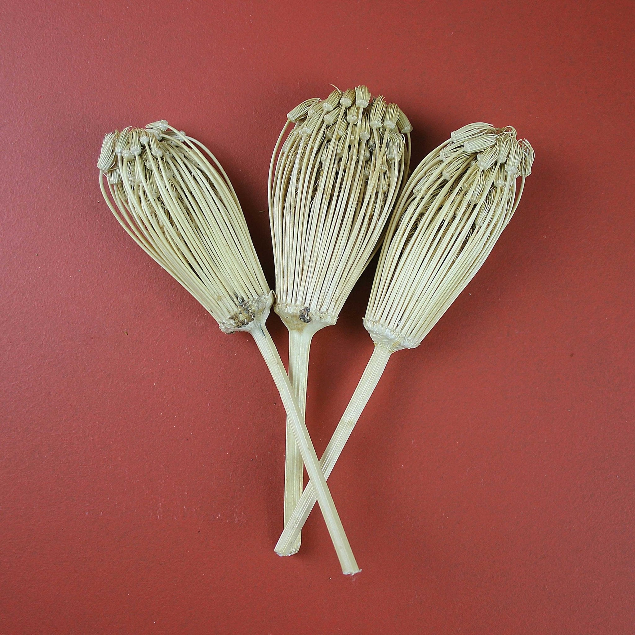 Toothpick Flower - Artisan Stories