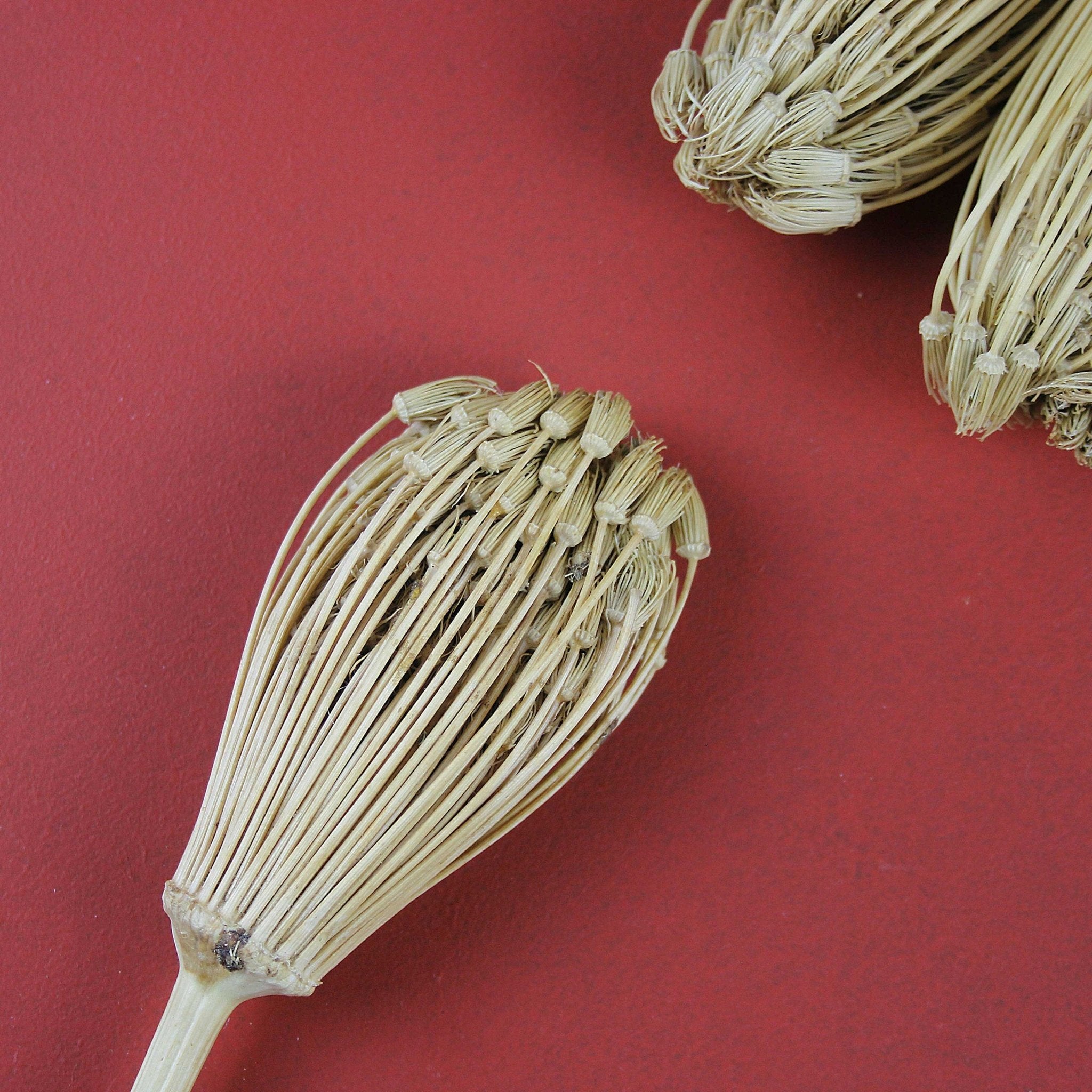 Toothpick Flower - Artisan Stories