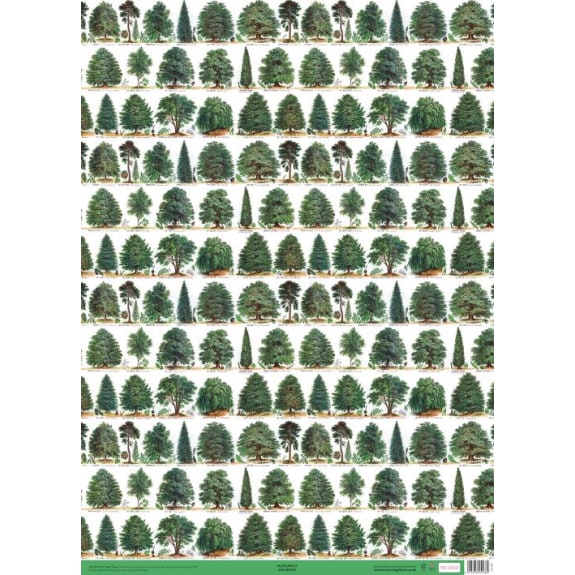 OUR BRITISH FOREST TREE Wrapping paper