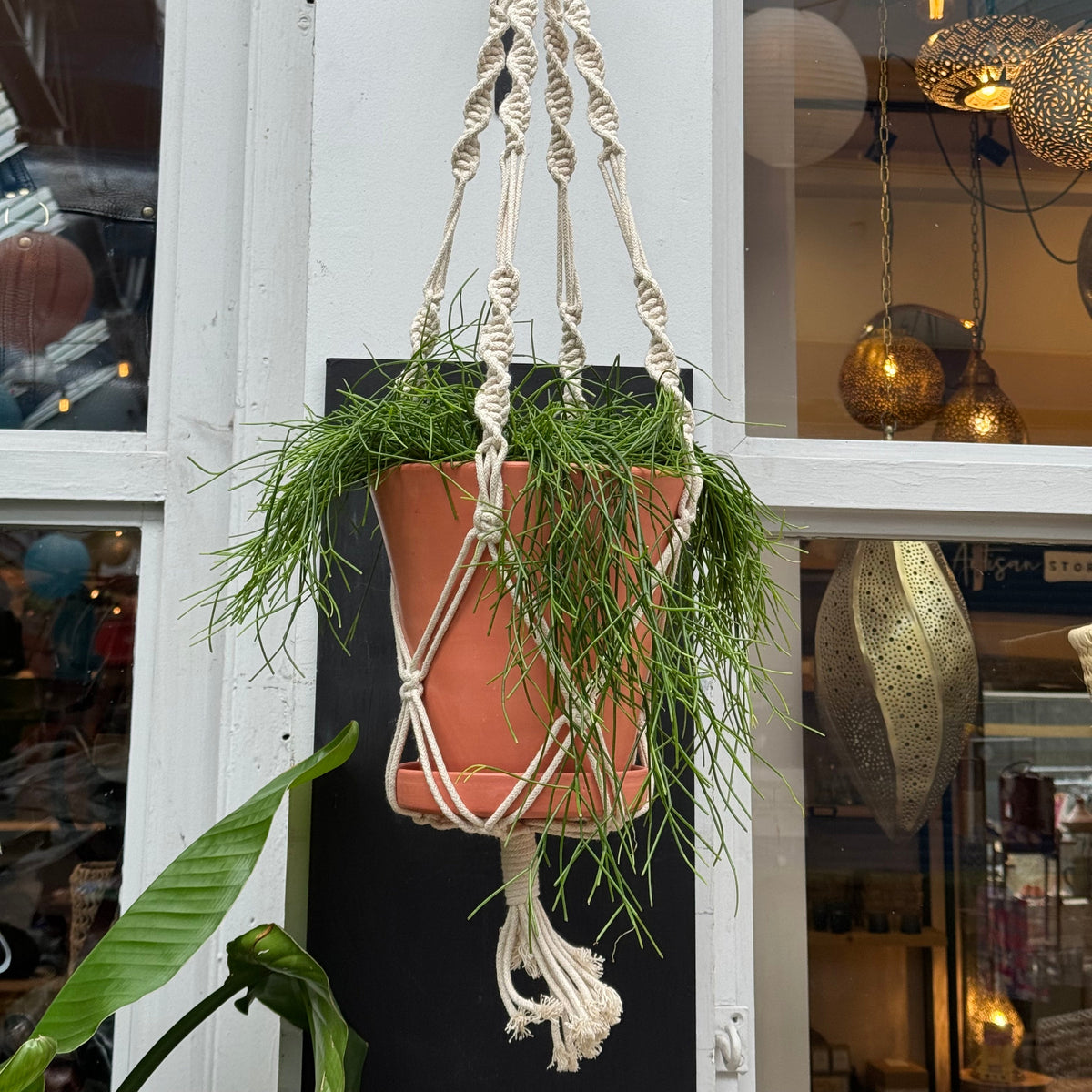 Handgefertigter Makramee-Pflanzenhänger | Minimalistischer Boho-Blumentopfhalter - Beige (80cm)