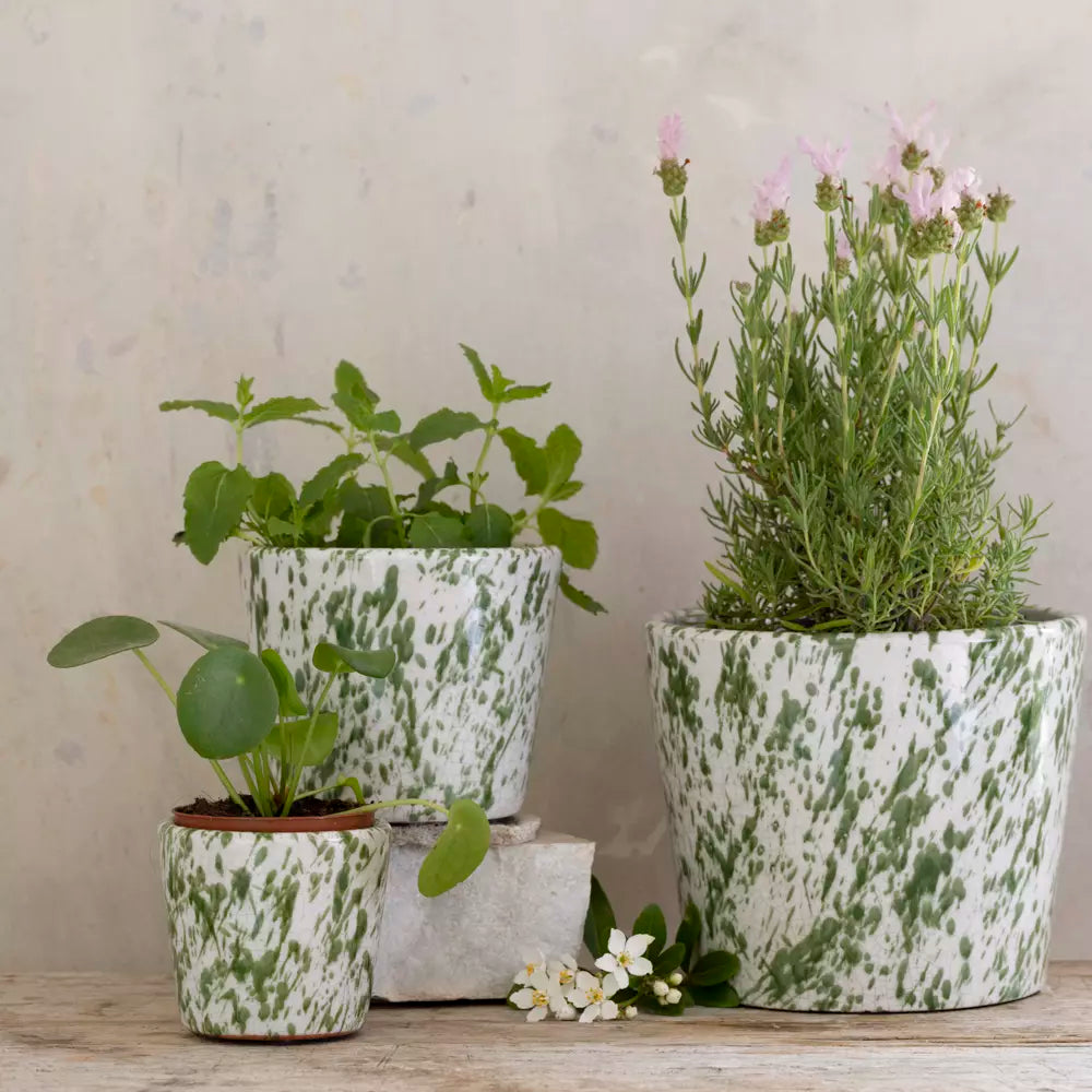 Old Style Dutch Pot Green Splatter