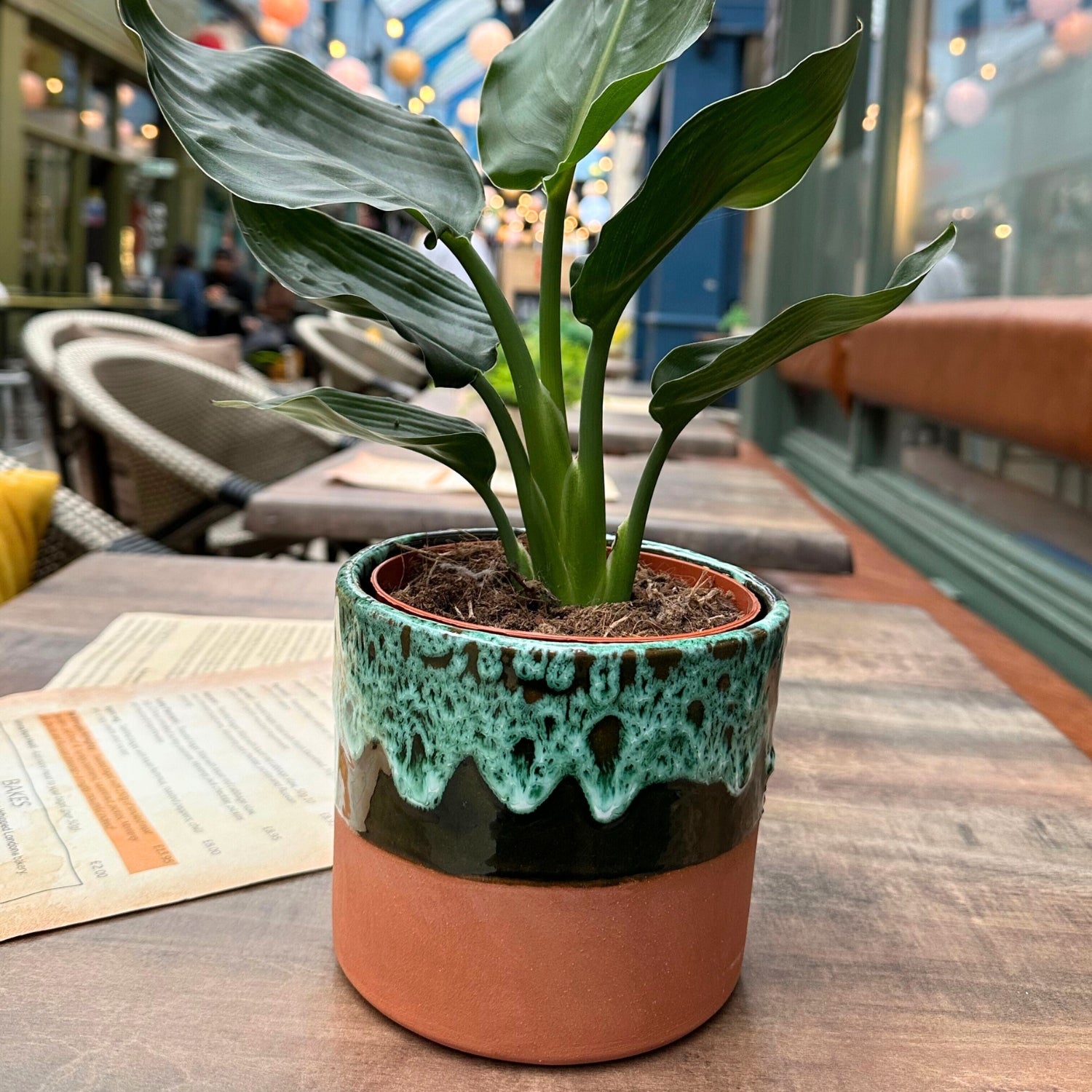 Terracotta drip-glazed plant pot