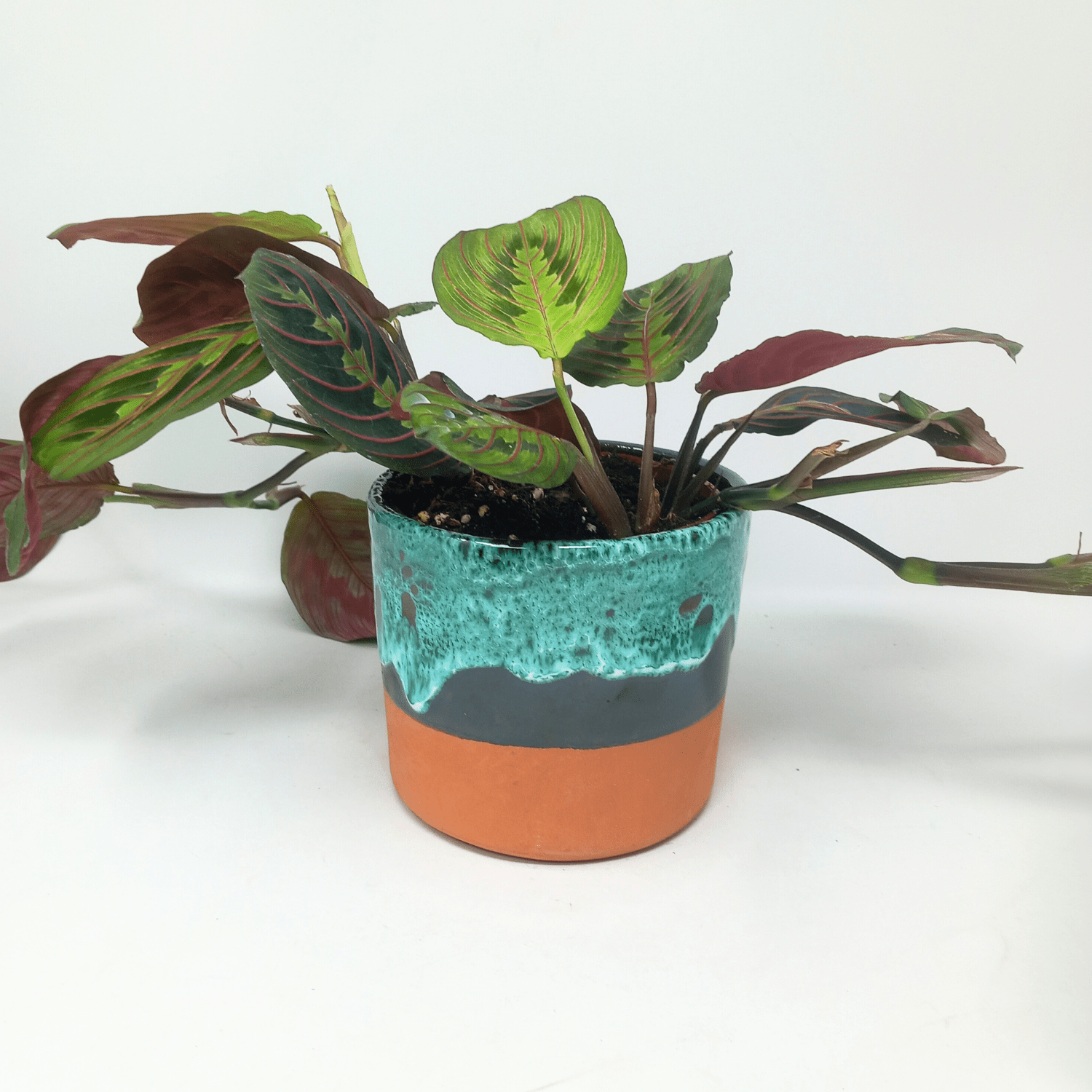 Terracotta drip - glazed plant pot - Artisan Stories