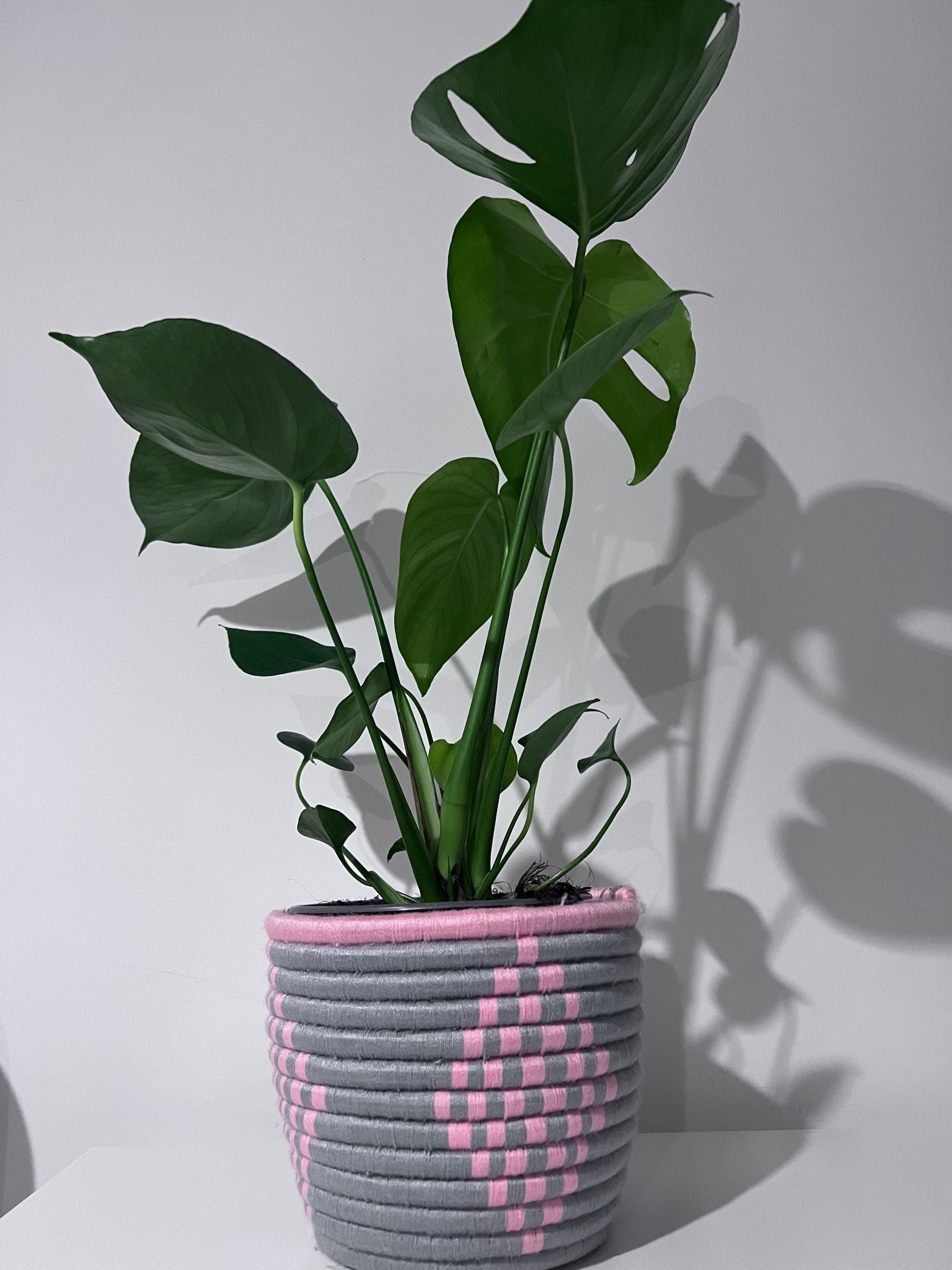 Grey Plant wool pot with Pink design - Artisan Stories