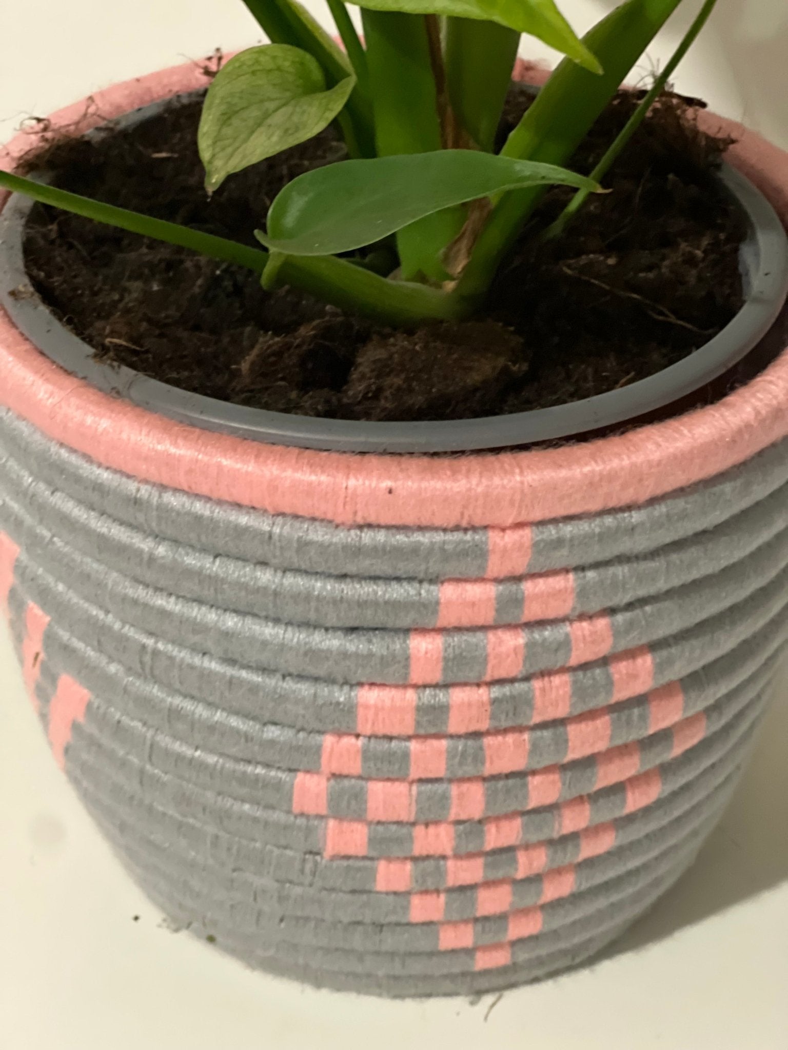 Grey Plant wool pot with Pink design - Artisan Stories